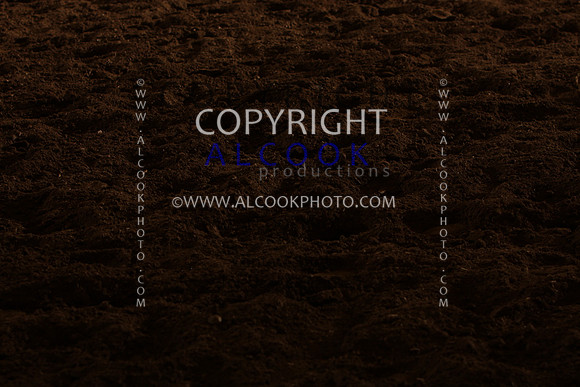 INC12_B0302