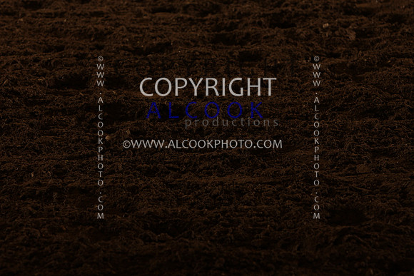 INC12_A216
