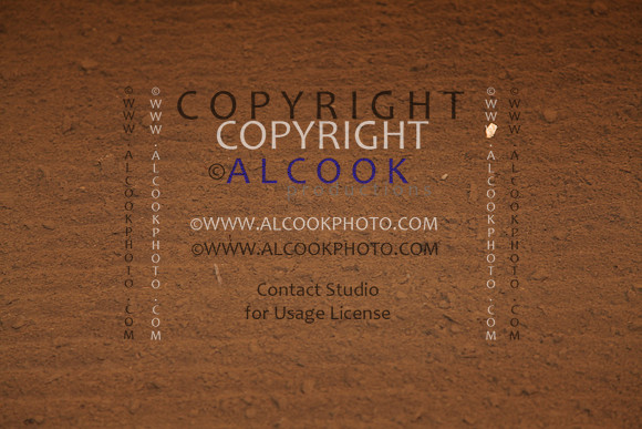 C_481_RC11