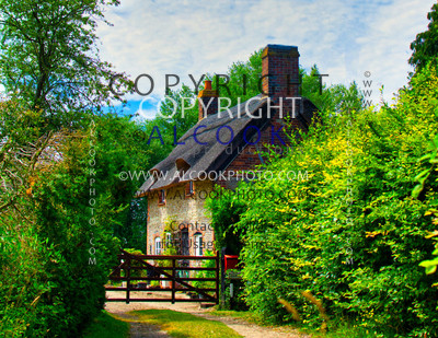 lawrence-hookham-oQV67M_9ctc-unsplash