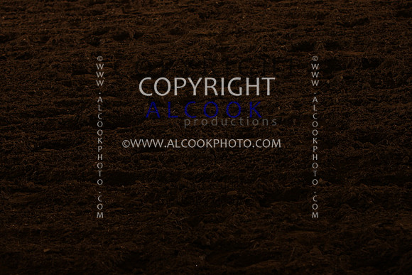 INC12_A201