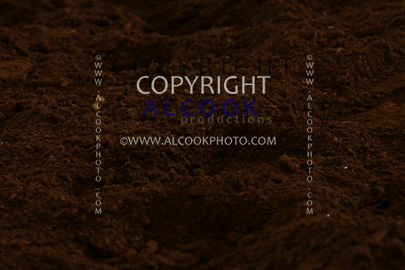 INC12_B0243