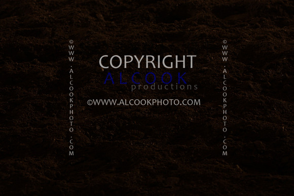 INC12_B0310