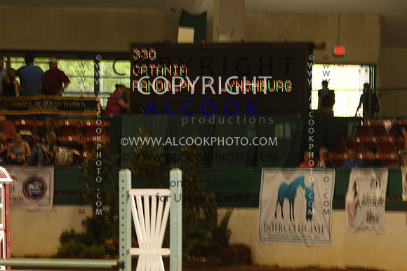 INC12_B0373