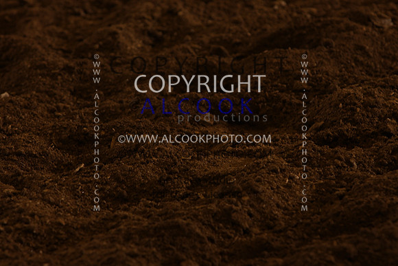 INC12_B0338