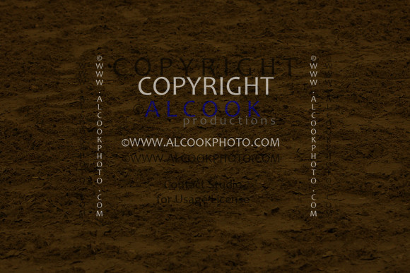19c226 CAM1_022_pn13