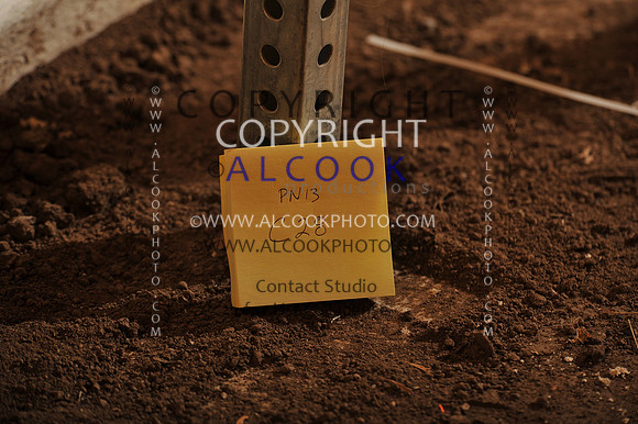 10c27-28_090_PN13