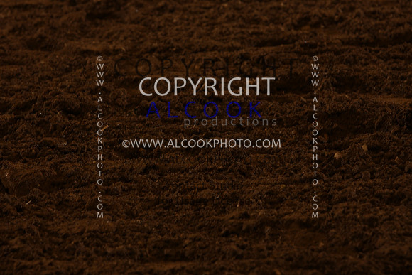 INC12_A195