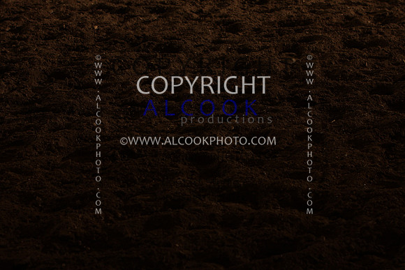 INC12_B0421