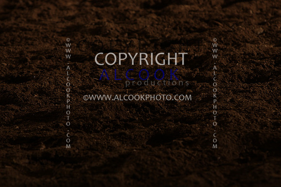 INC12_B0434