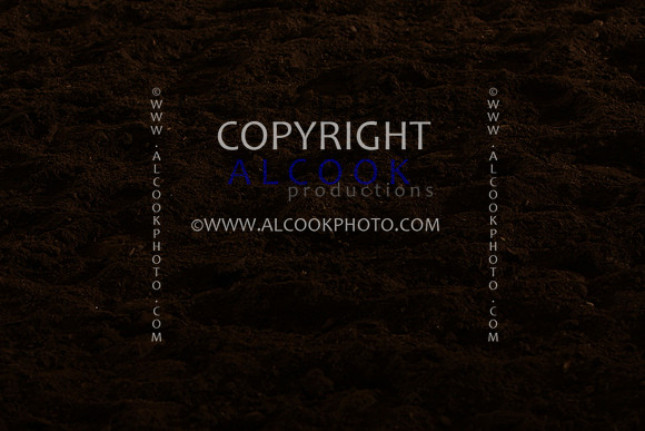 INC12_B0428