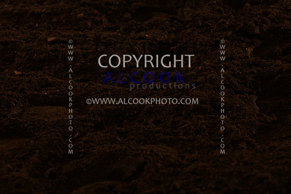 INC12_A246