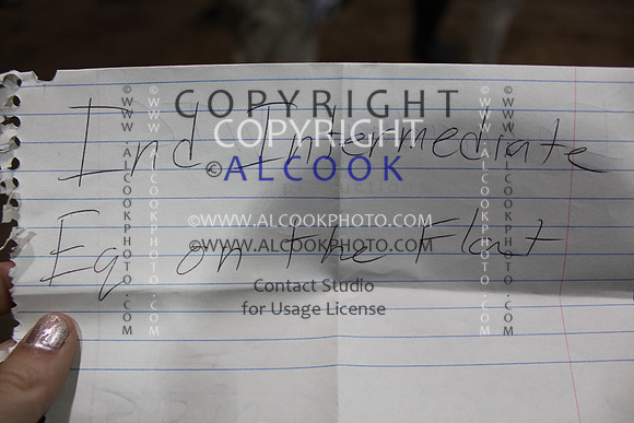 C063_INC14