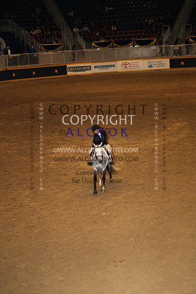 A_337_RC11