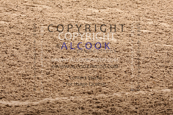 13c27-28_080_PN16