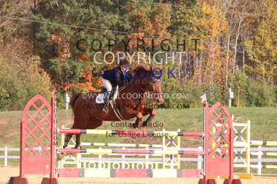 CC011_SWV24