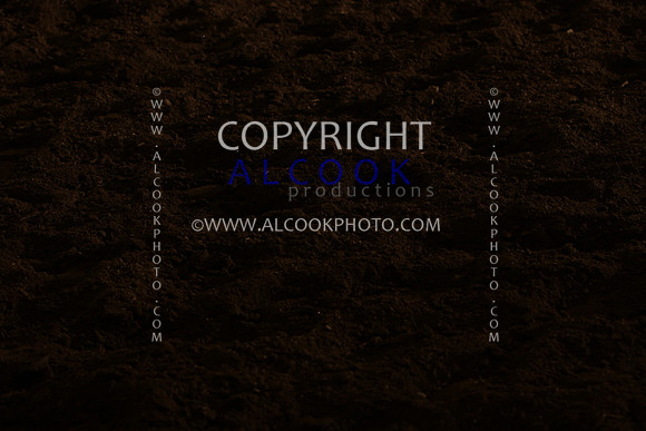INC12_B0352