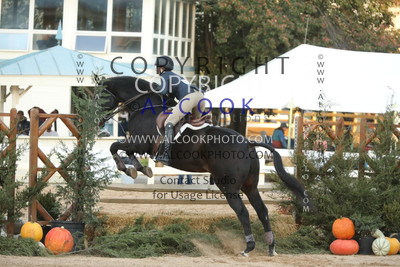 C487_SWV24