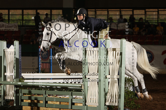 INC12_B0384