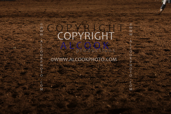 INC12_B0258