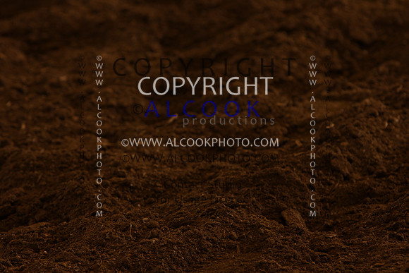 INC12_B0279