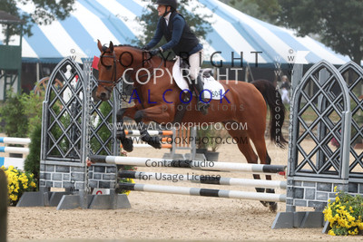 D197_PJC24