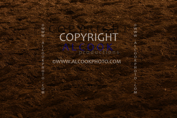INC12_B0294