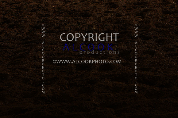 INC12_B0406