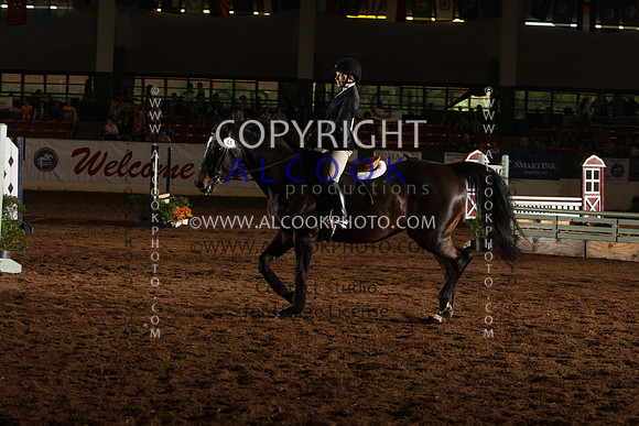INC12_B0374