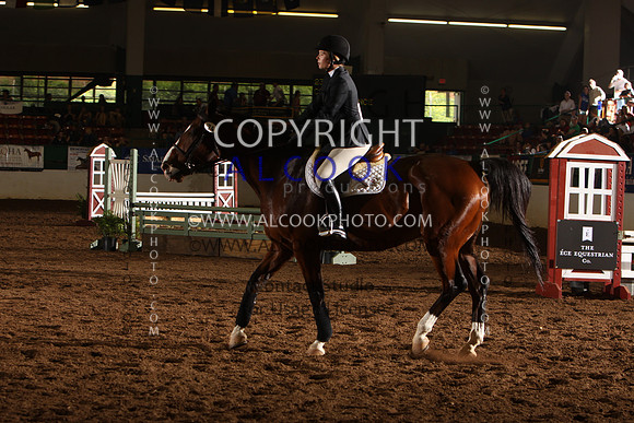 INC12_B0301