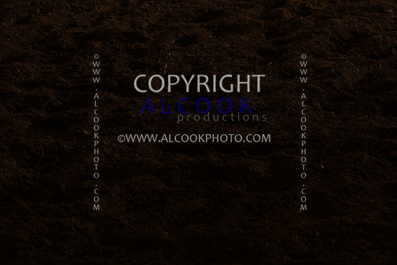 INC12_B0287