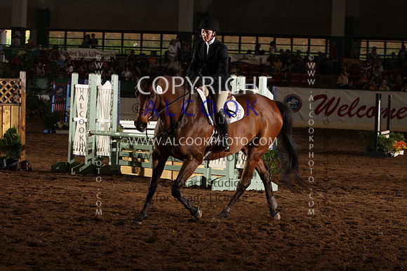 INC12_B0309